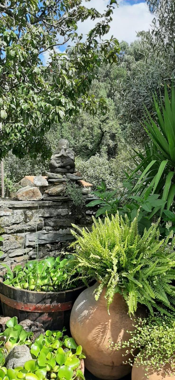 Casa Ribeira Lägenhet Coentral Das Barreiras Exteriör bild